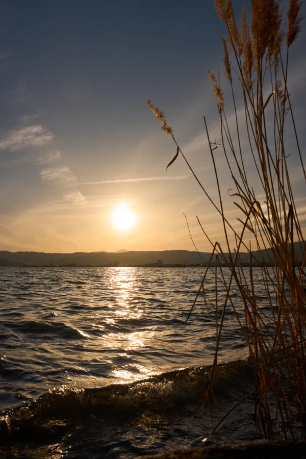 Lake Suwa (2026) — Lake Suwa + Omiwatari Ice | Nagano | Landscapes of Japan