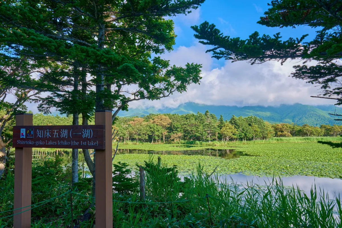 Shiretoko - Hokkaido | #Mountain