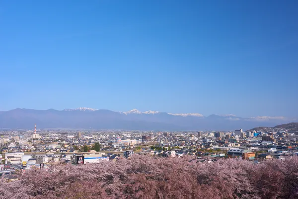 Kobo Mountain Tumulus - Nagano | Cherry Blossoms