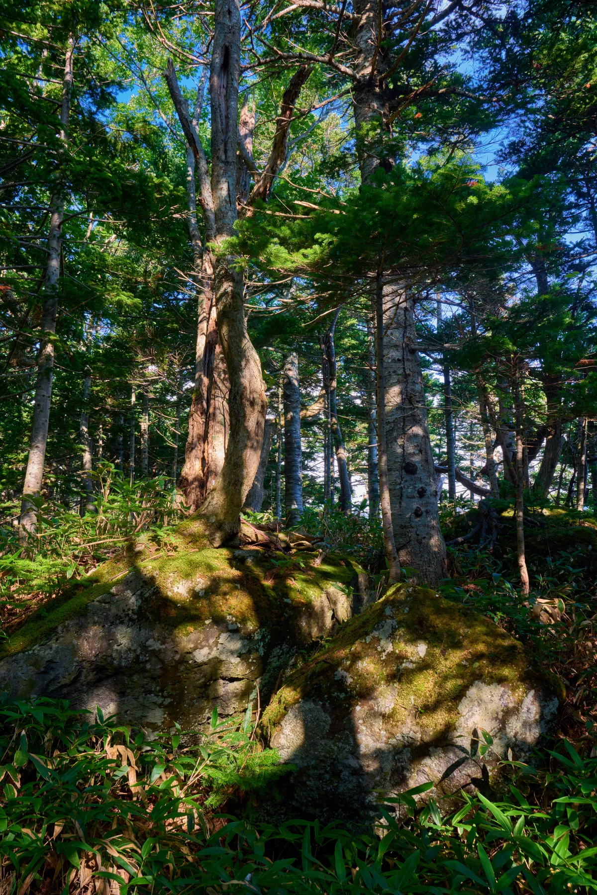 Shiretoko - Hokkaido | #Mountain