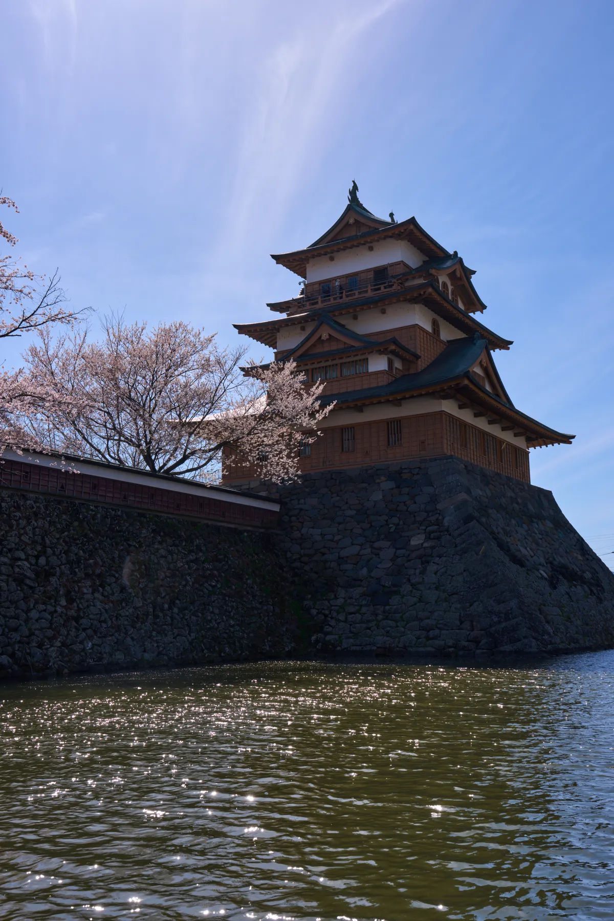 Takashima Park (Suwa) - Nagano | Cherry Blossoms