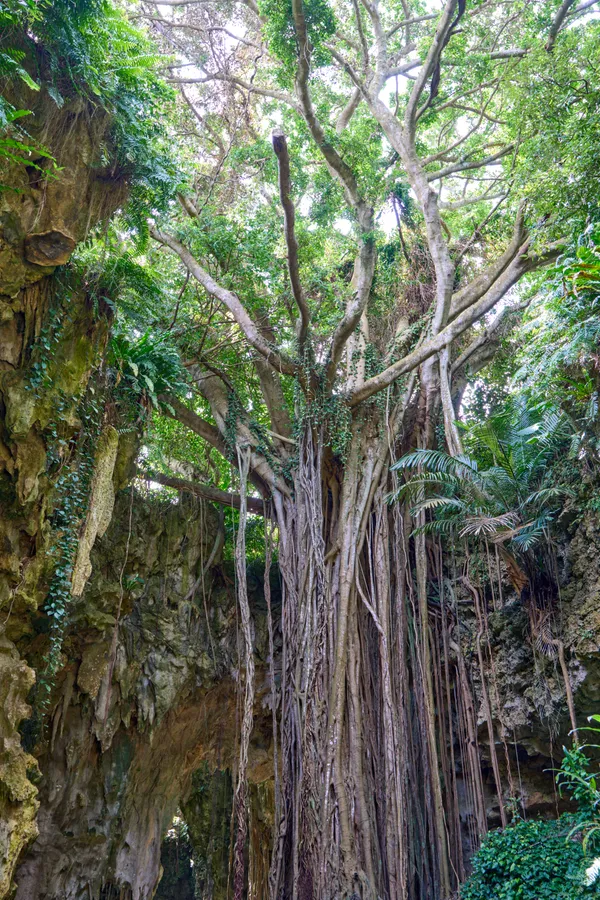 Okinawa - Okinawa
