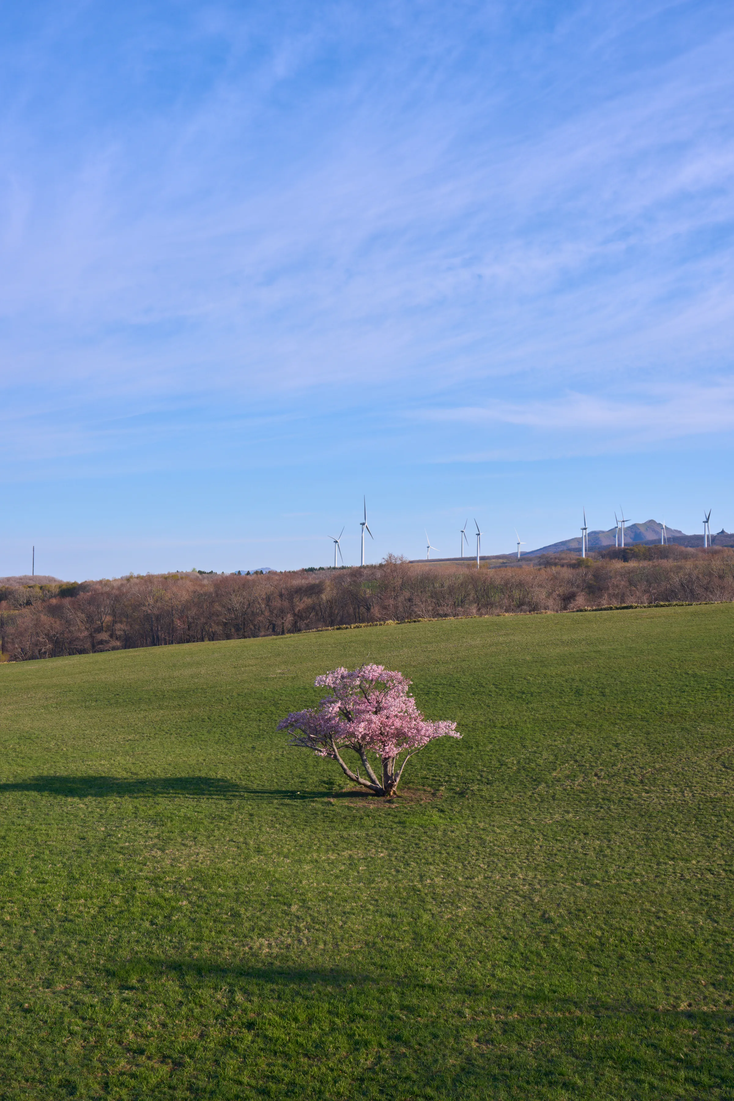 室蘭 (2026) | 北海道 | Landscapes of Japan
