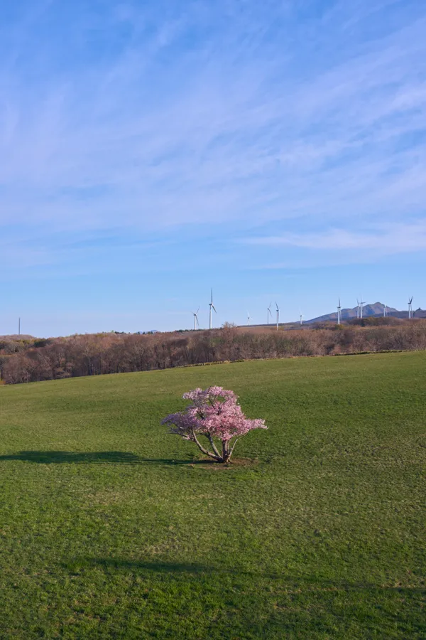 Muroran - Hokkaido | Coastal