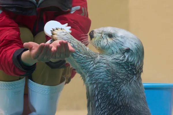 鳥羽水族館 - 三重県