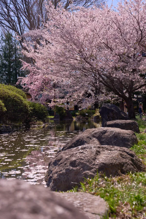 高島公園(諏訪市) - 長野県