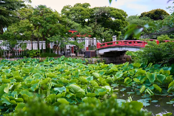 鎌倉 - 神奈川県