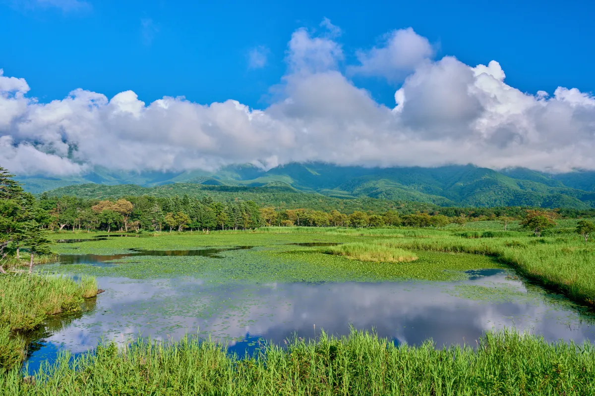Shiretoko - Hokkaido | #Mountain