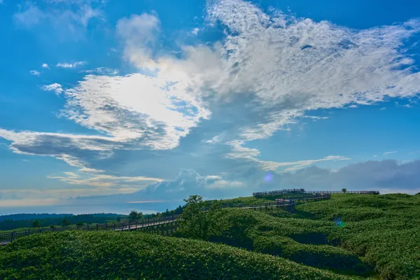 Shiretoko - Hokkaido