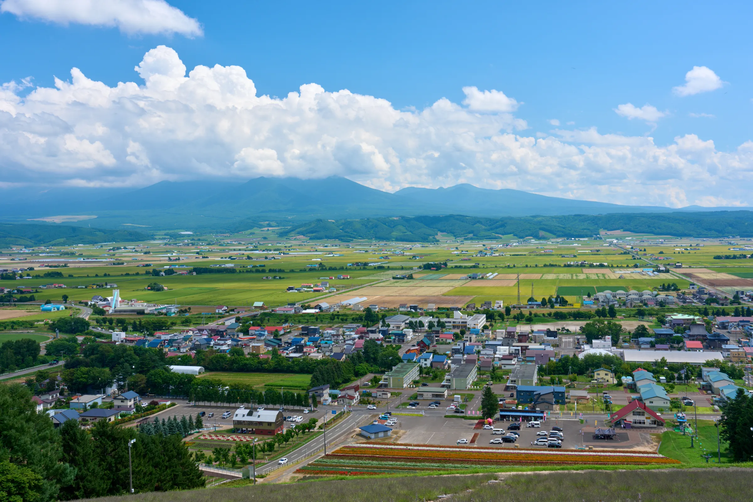 富良野 (2025) | 北海道 | Landscapes of Japan