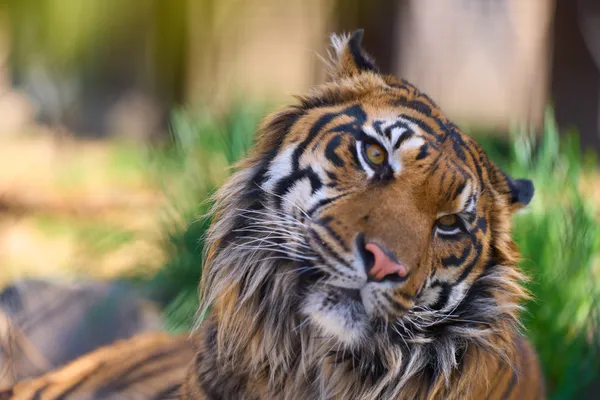 Higashiyama Zoo - Aichi | Animals