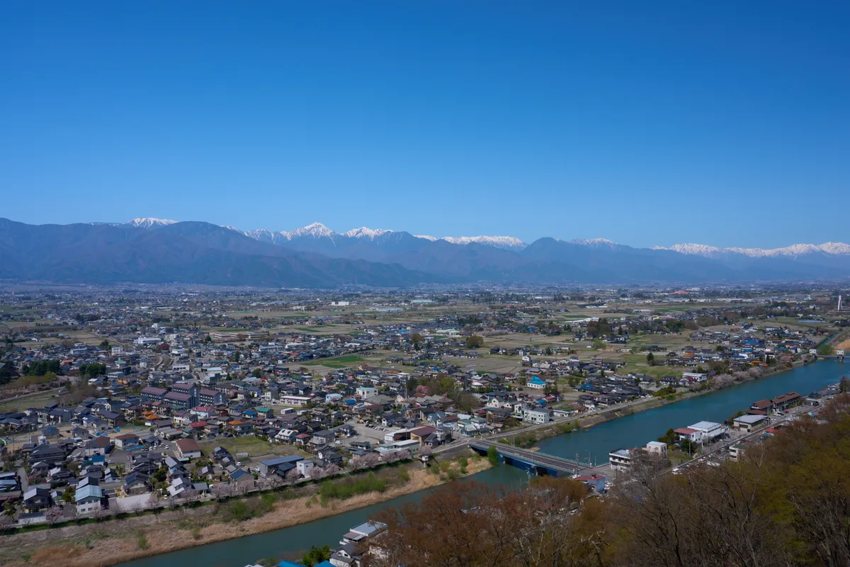 Joyama Park (Matsumoto) - Nagano | #Cherry Tree