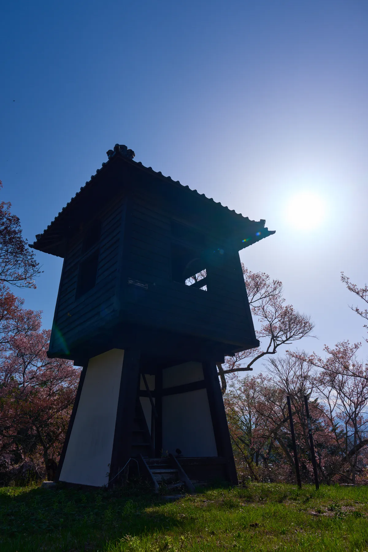 Takato Castle Park - Nagano | Cherry Blossoms