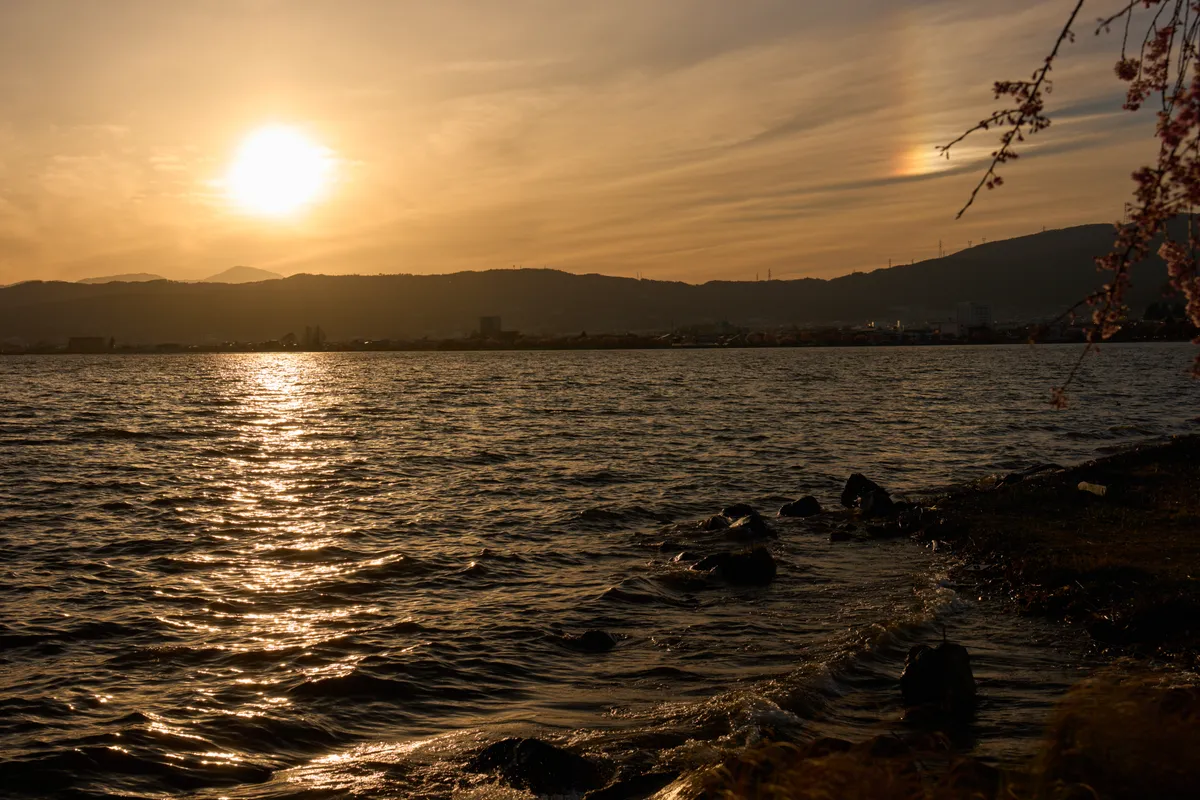 Lake Suwa - Nagano | Cherry Blossoms
