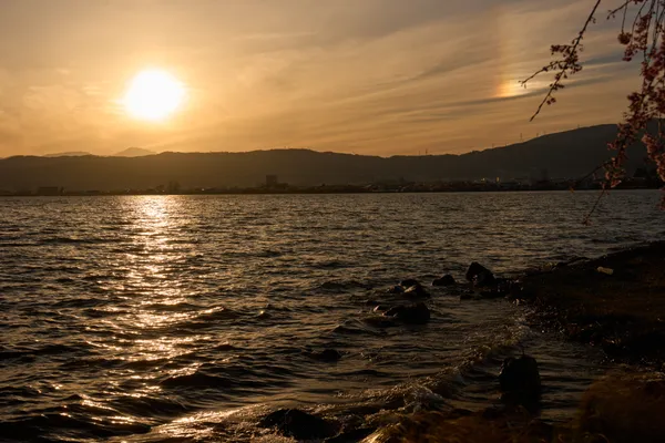 Lake Suwa - Nagano | Cherry Blossoms
