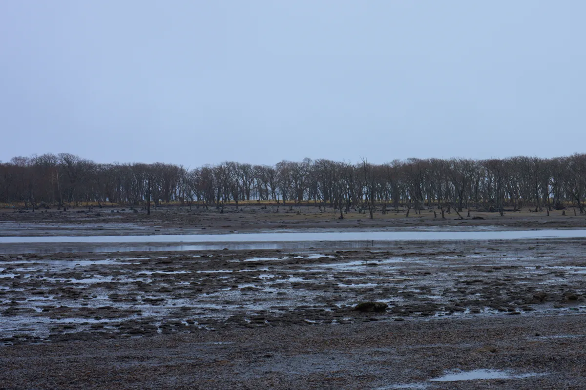 Notsuke Peninsula (2026) | Hokkaido | Landscapes of Japan