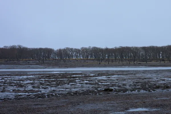 野付半島 - 北海道