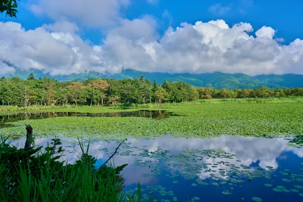 知床 - 北海道