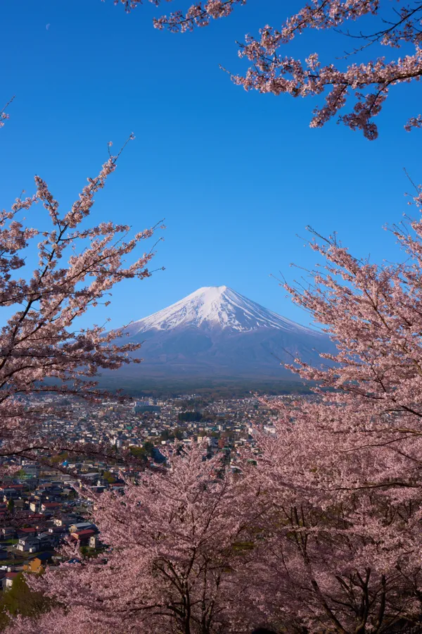 新倉山浅間公園 - 山梨県