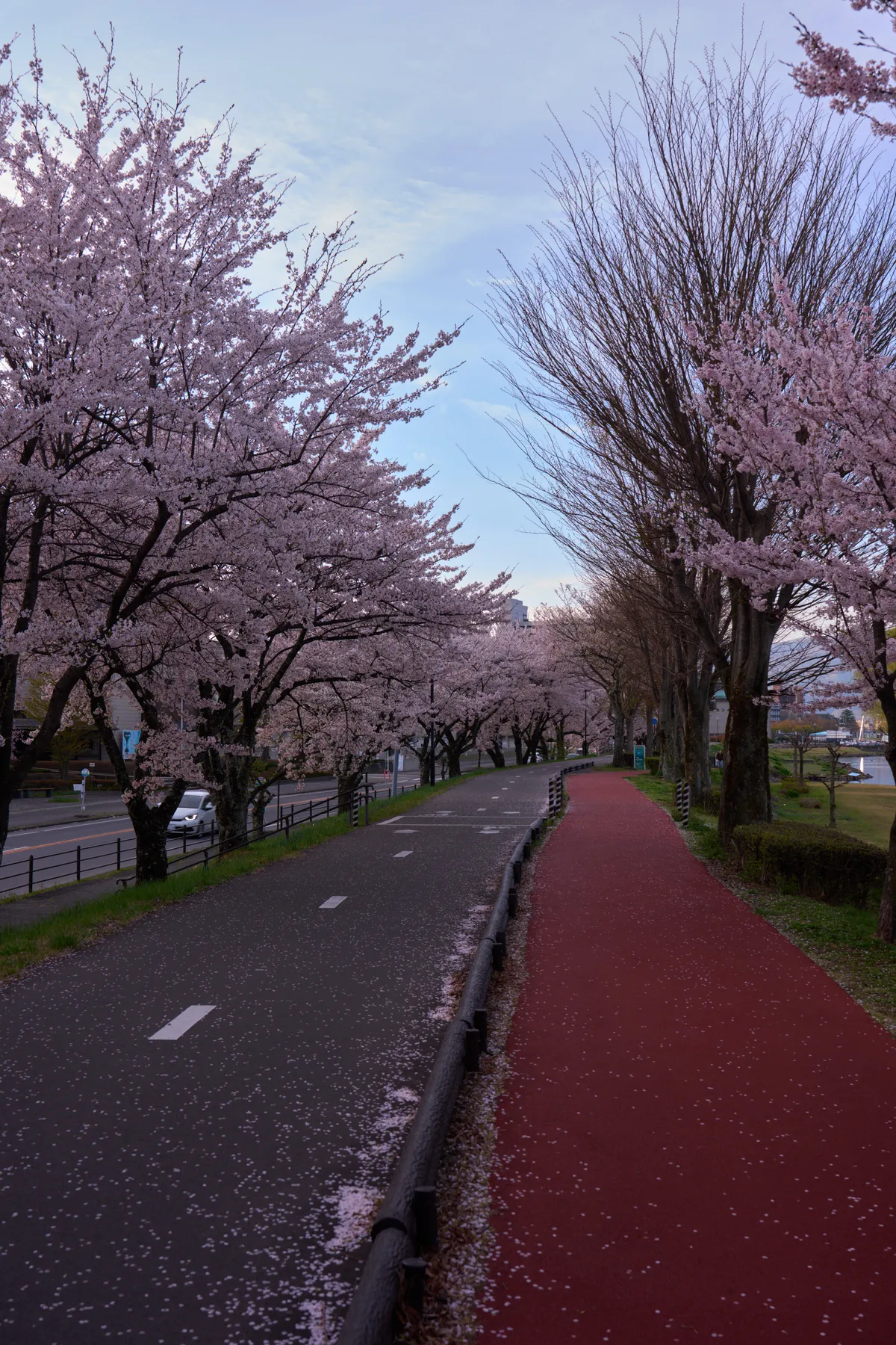 Lake Suwa - Nagano | Cherry Blossoms