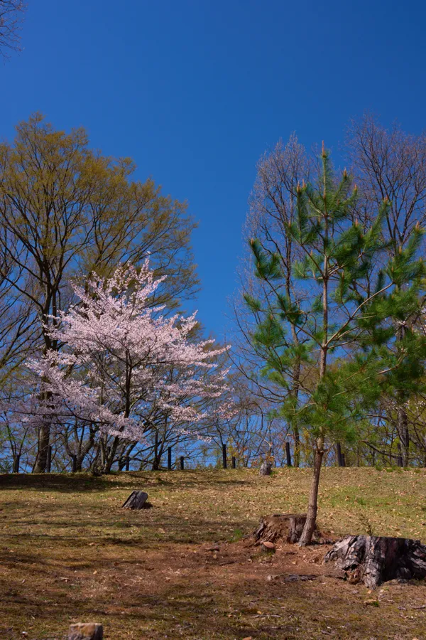 城山公園(松本市) - 長野県