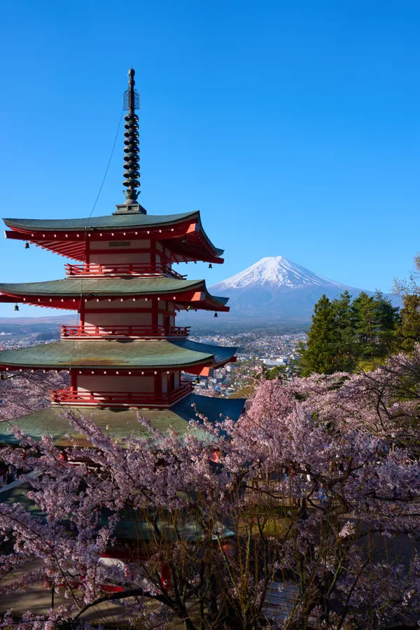新倉山浅間公園 - 山梨県
