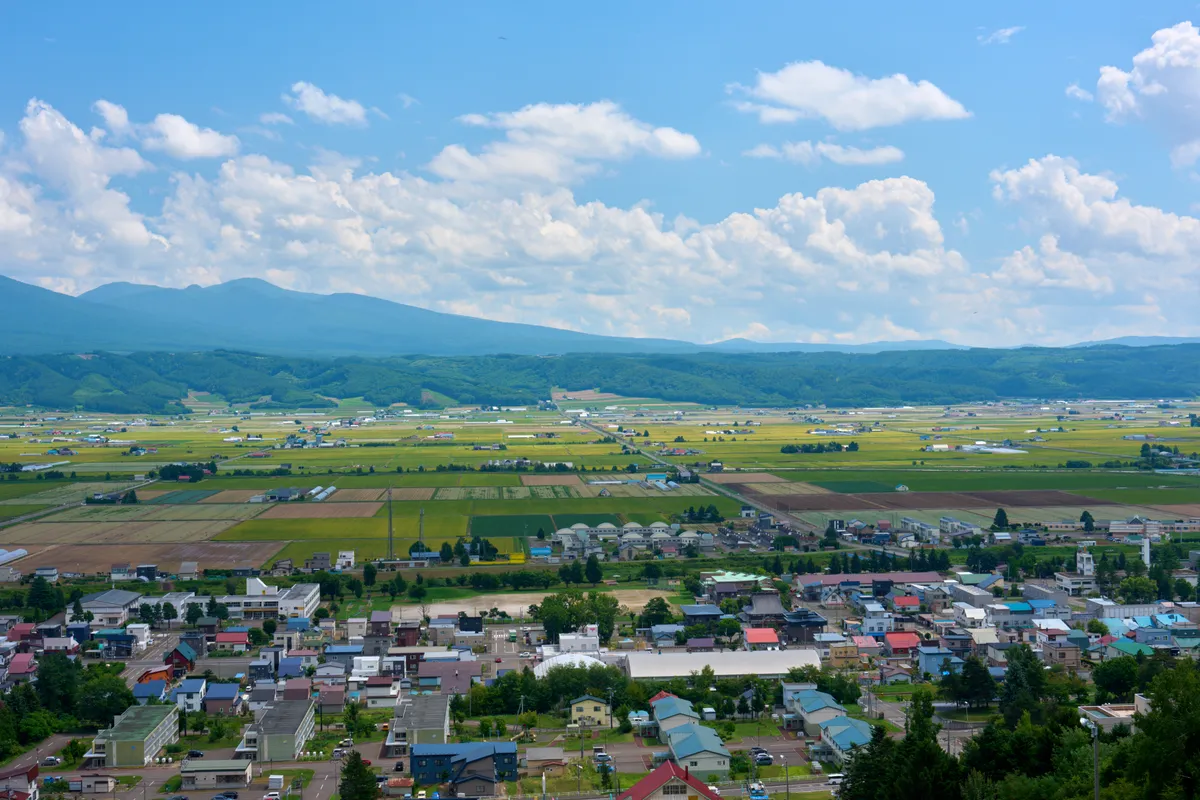 Furano - Hokkaido | #Macro
