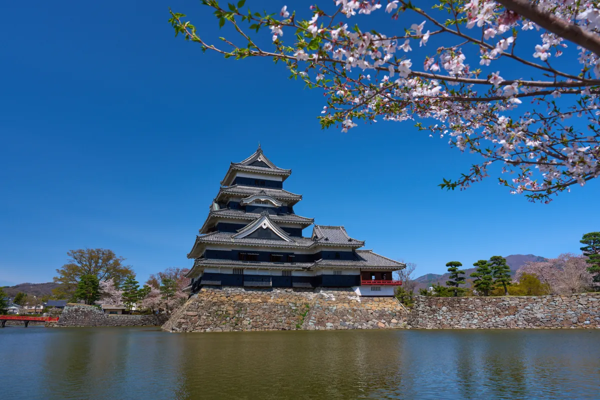 Matsumoto Castle - Nagano | Cherry Blossoms