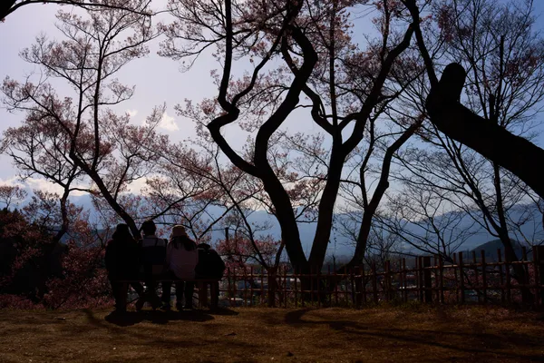 高遠城址公園 - 長野県