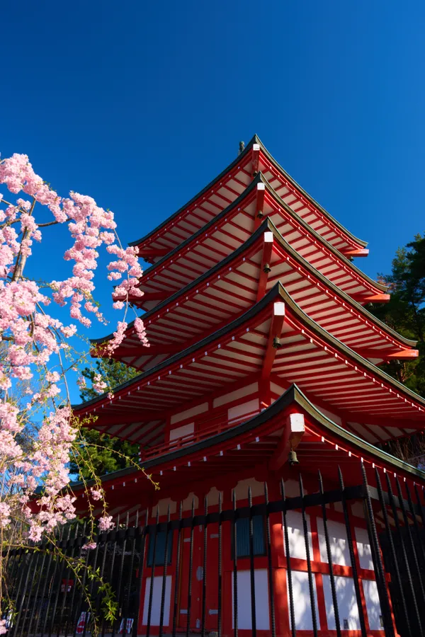新倉山浅間公園 - 山梨県
