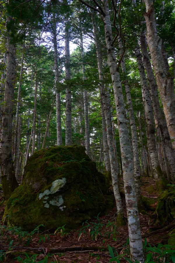 Shiretoko - Hokkaido
