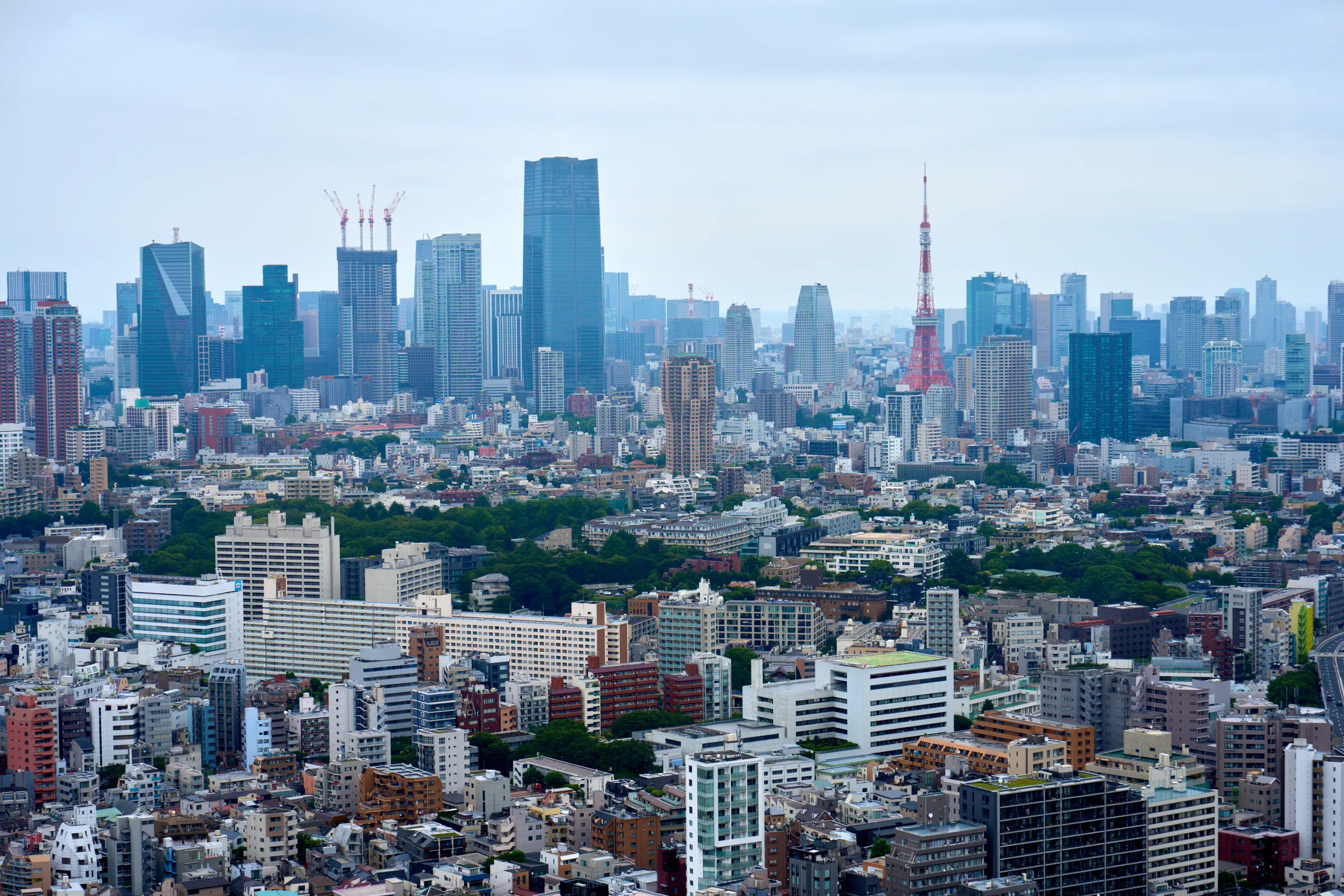 東京 (2024) | 東京都 | Landscapes of Japan
