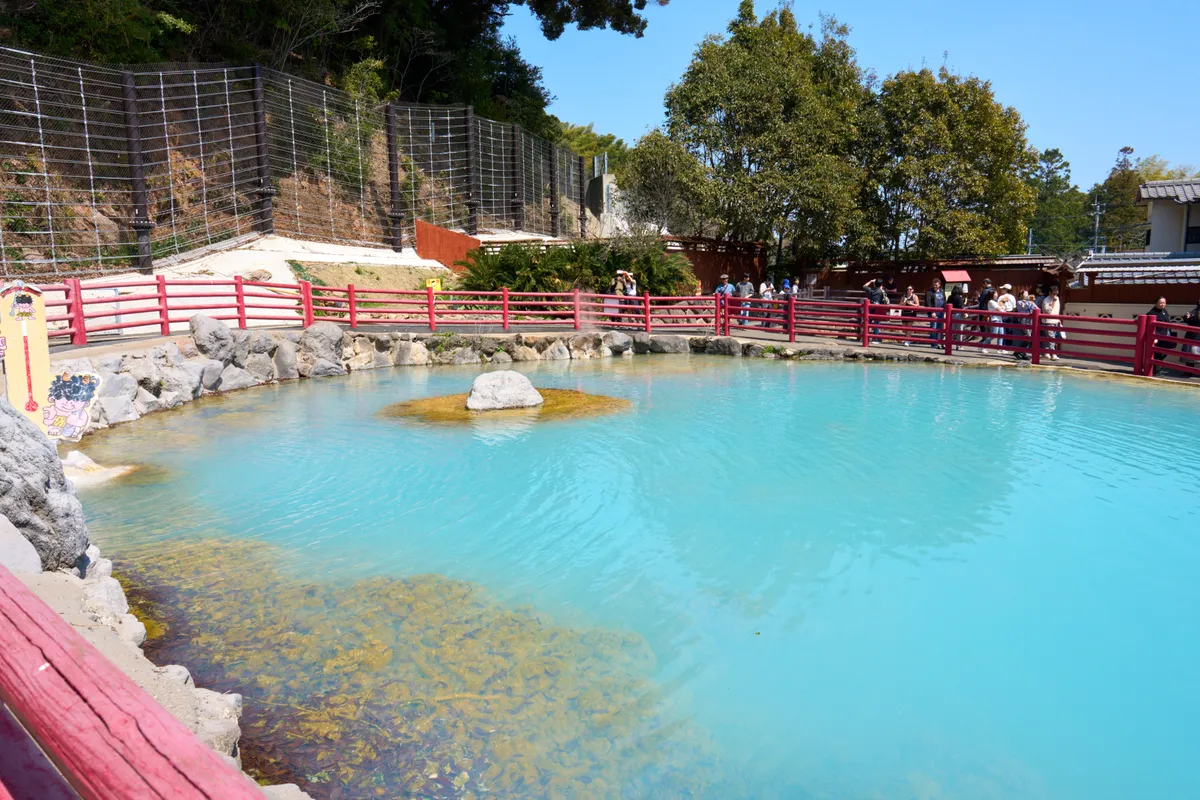 Beppu (2025) | Oita | Landscapes of Japan