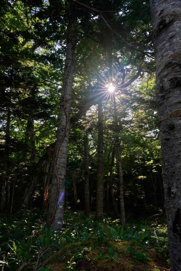 Shiretoko - Hokkaido