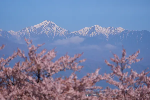 弘法山古墳 - 長野県