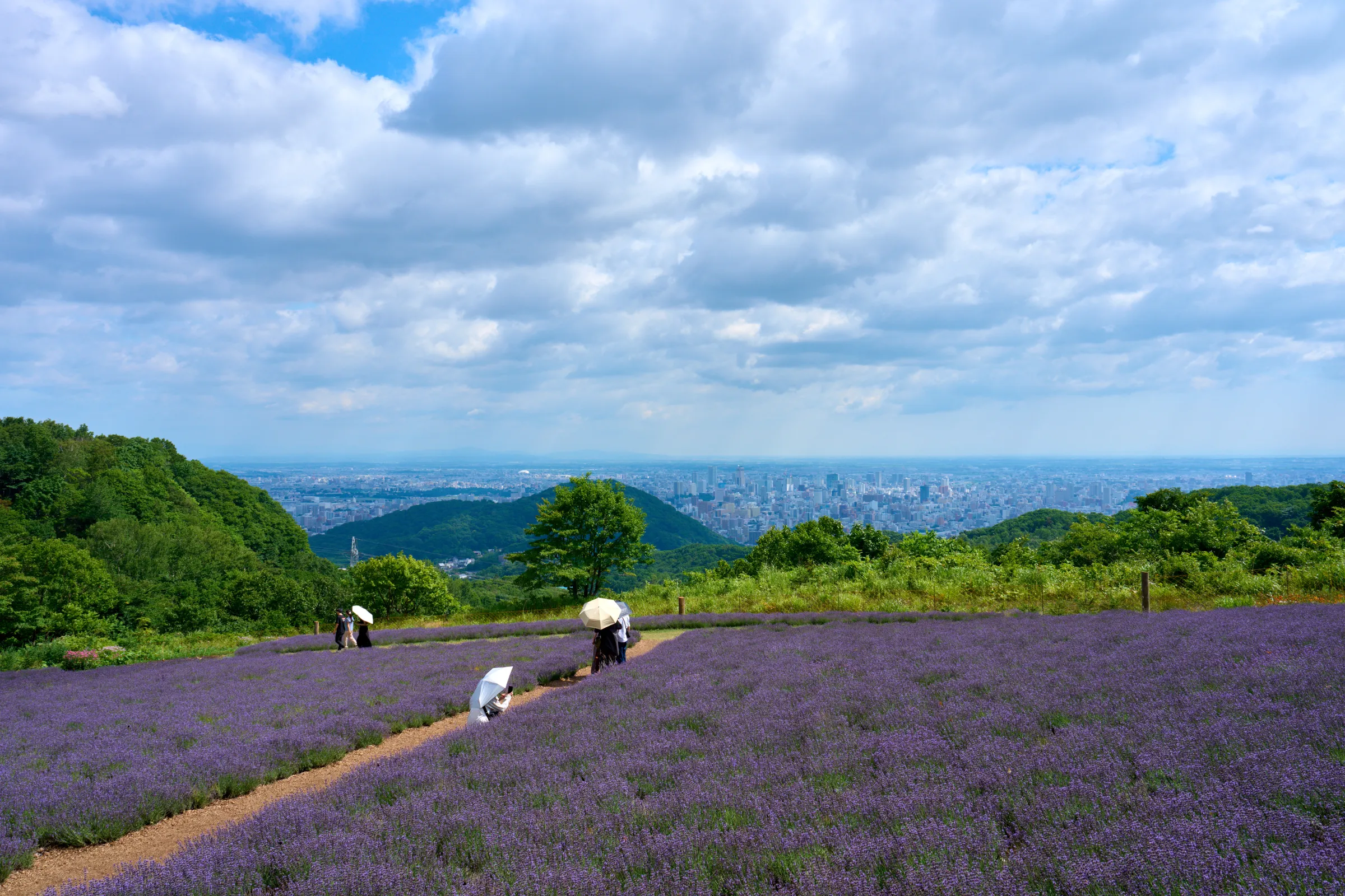 札幌 (2025) | 北海道 | Landscapes of Japan