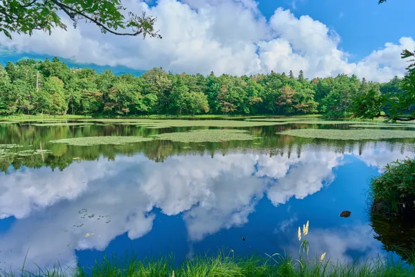 Shiretoko - Hokkaido
