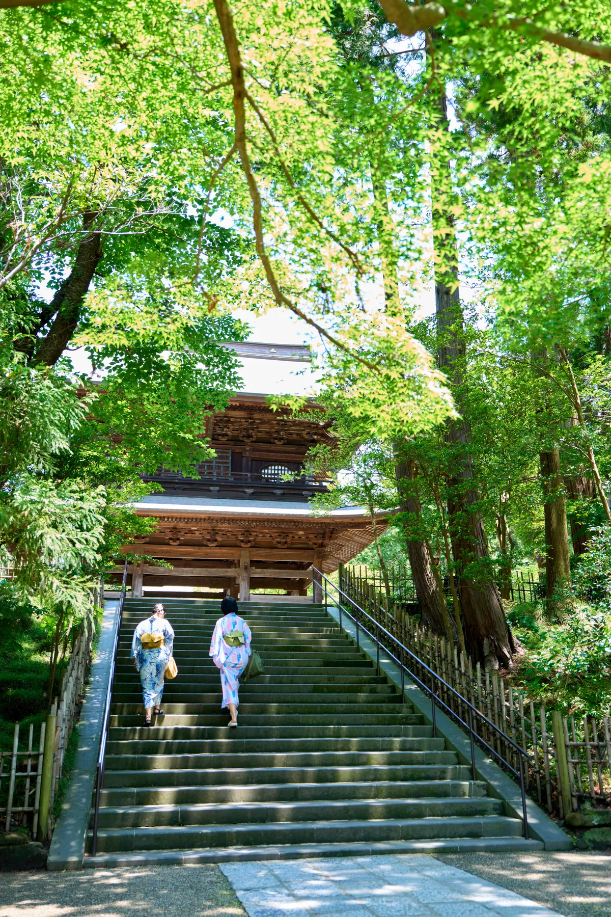 Kamakura (2025) | Kanagawa | Landscapes of Japan