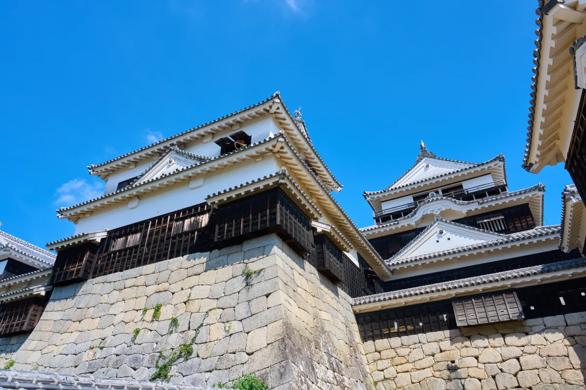 Burg Matsuyama (2025) | Ehime | Landscapes of Japan