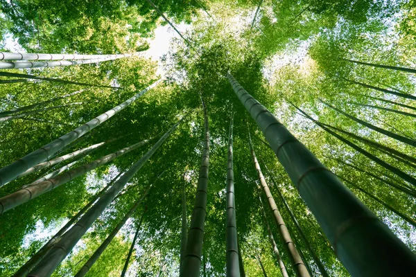 鎌倉 - 神奈川県