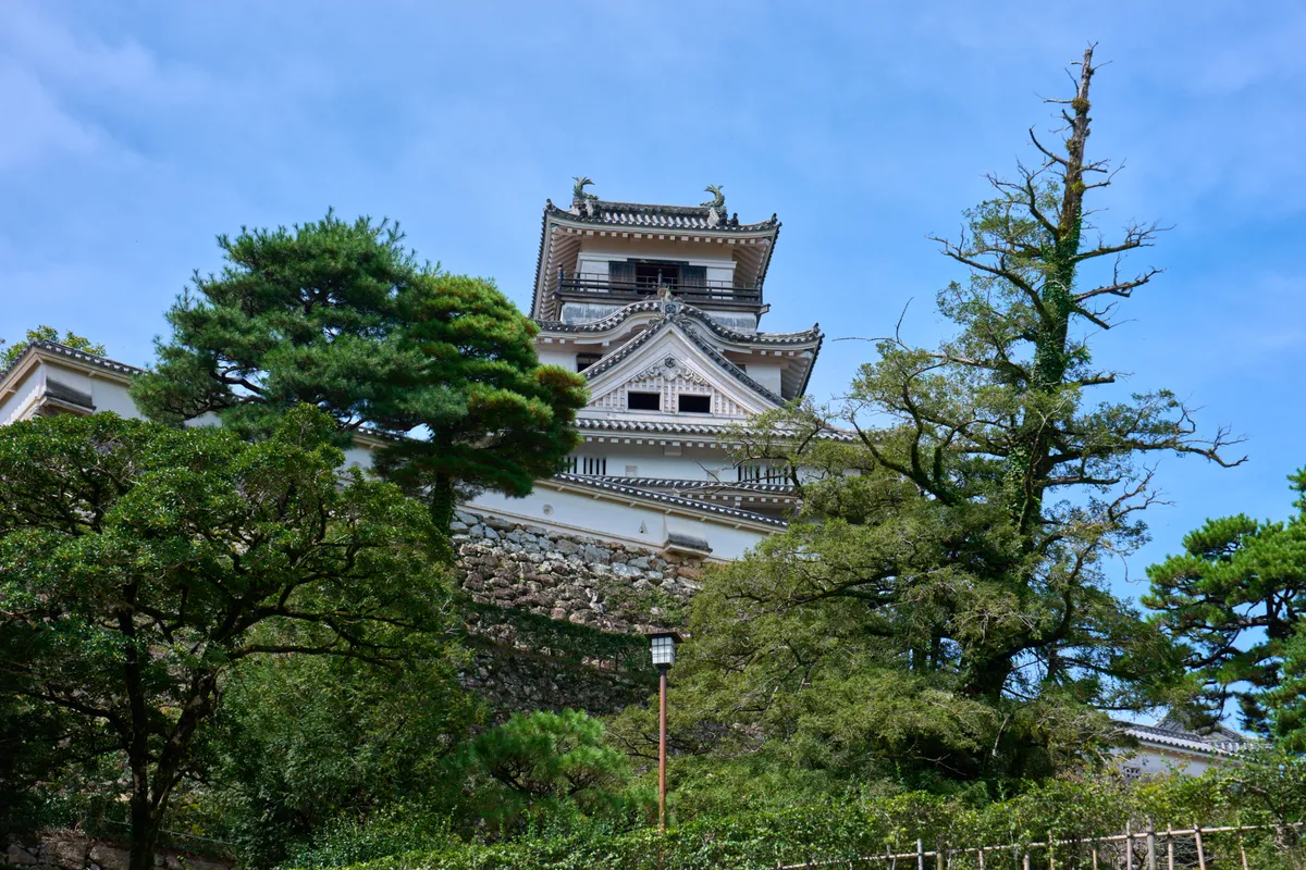 Burg Kochi (2025) | Kochi | Landscapes of Japan