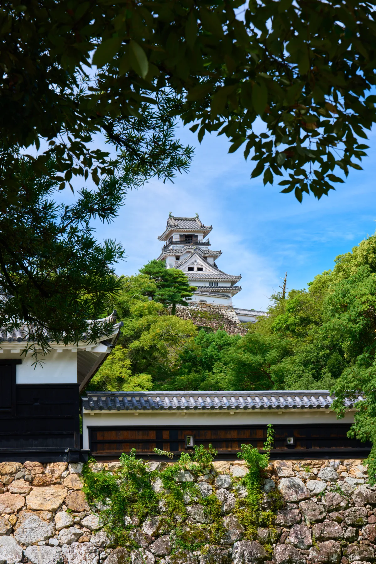 Burg Kochi (2025) | Kochi | Landscapes of Japan