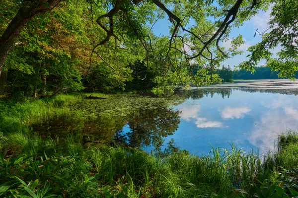 Shiretoko - Hokkaido | Lakes