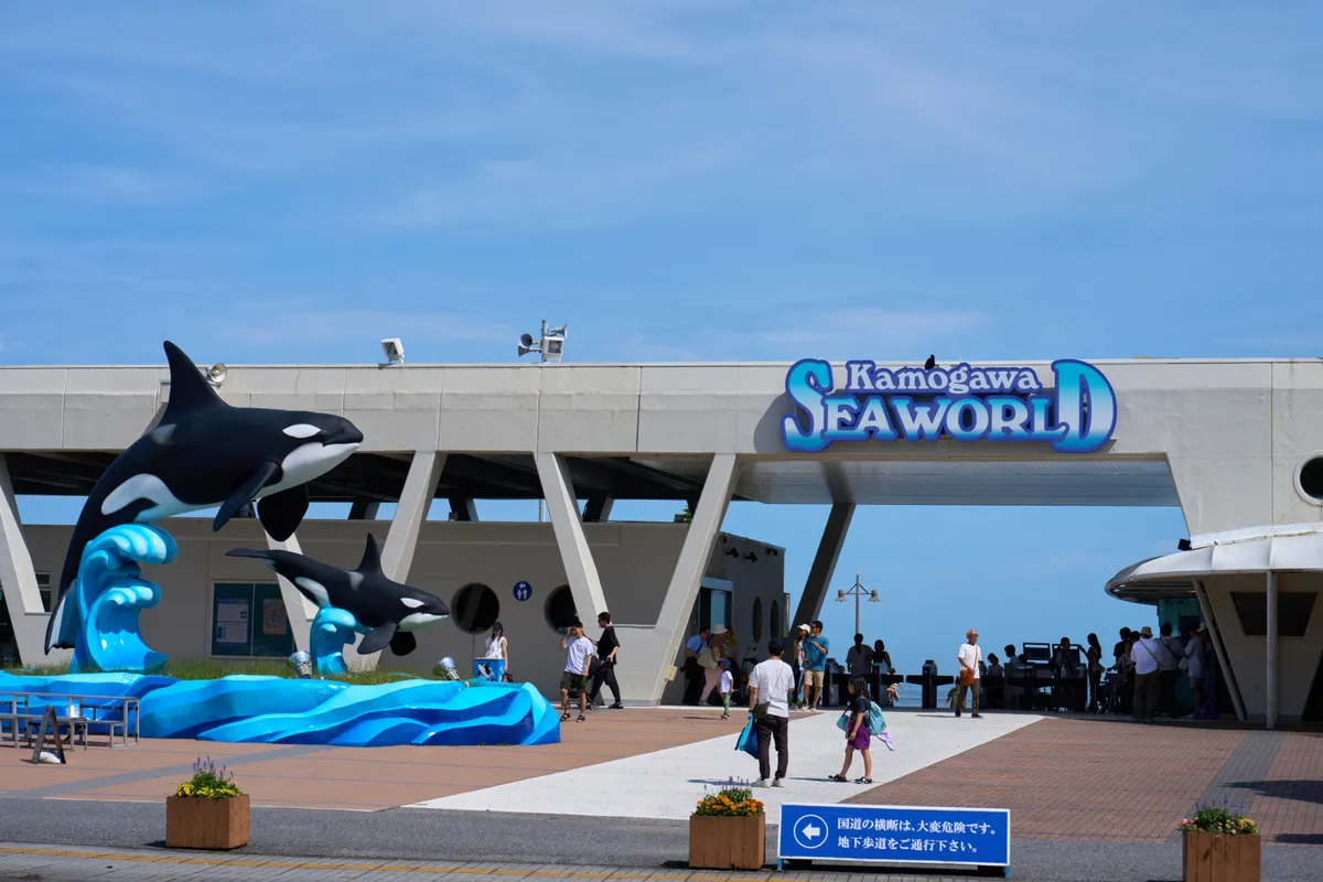 Kamogawa Sea World (2024) | Chiba | Landscapes of Japan