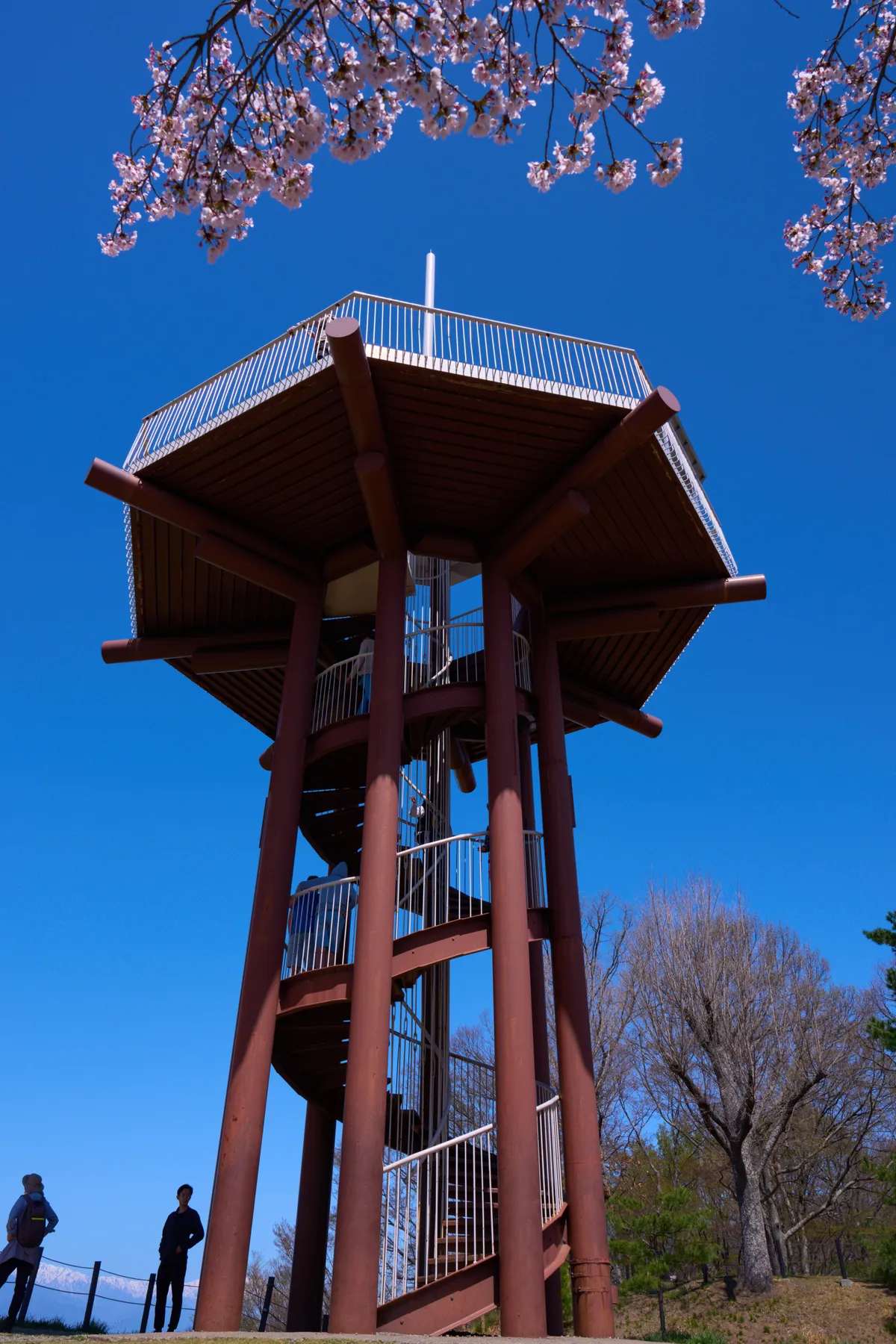 Joyama Park (Matsumoto) - Nagano | Cherry Blossoms