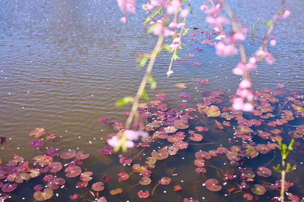 美唄 - 北海道