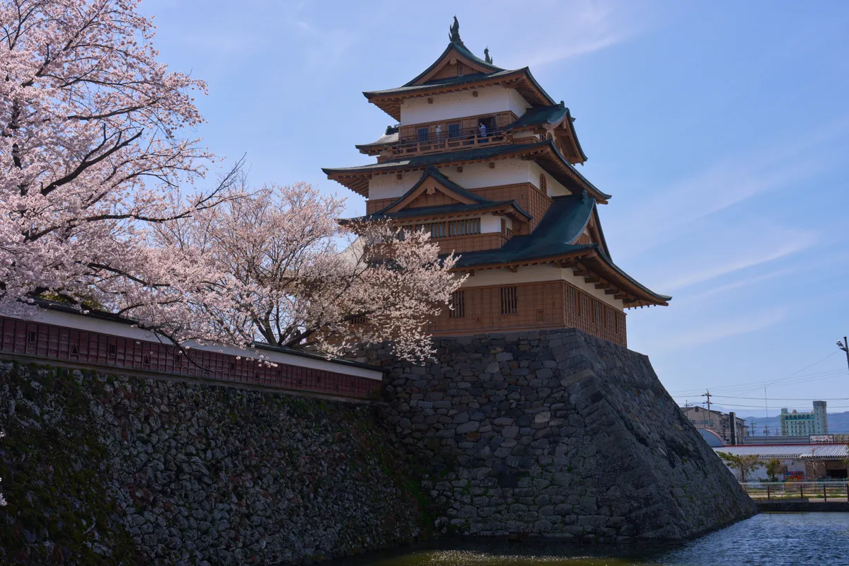 Takashima Park (Suwa) - Nagano | Cherry Blossoms