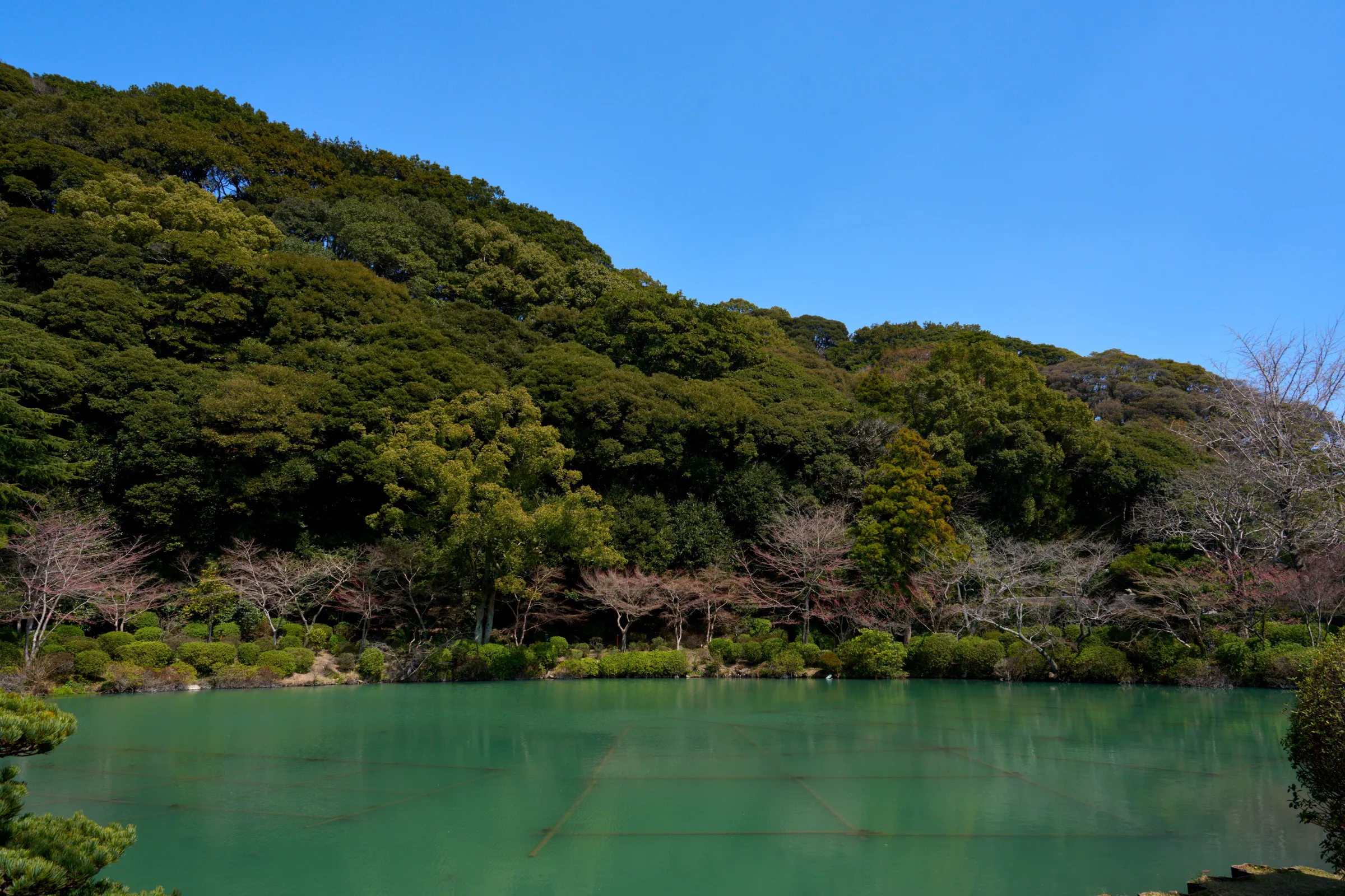 別府 (2025) | 大分県 | Landscapes of Japan