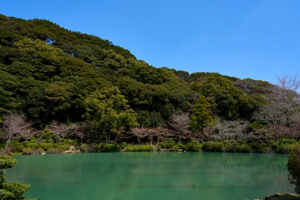 別府 - 大分県