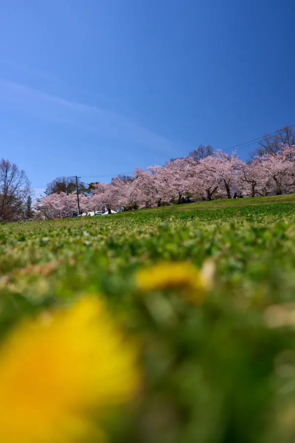 城山公園(松本市) - 長野県
